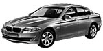 BMW F10 P169D Fault Code